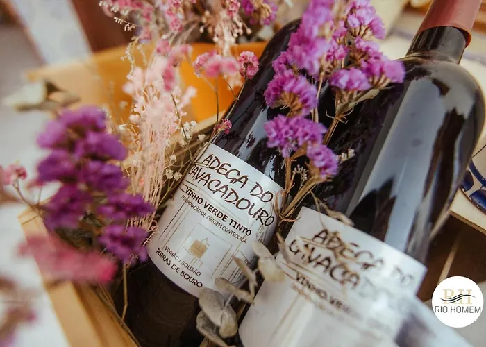 فندق مبيت وإفطار Rio Homem